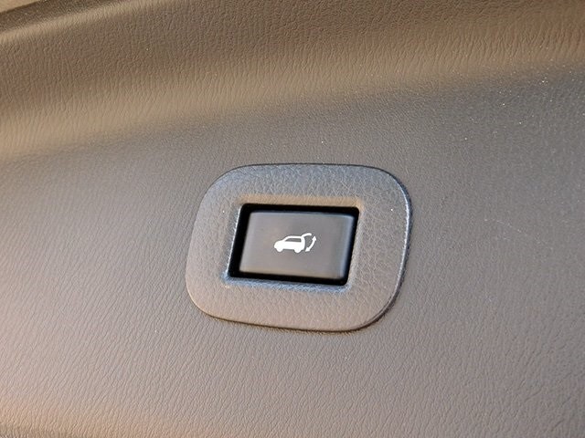INFINITI QX80 Vehicle Image 09