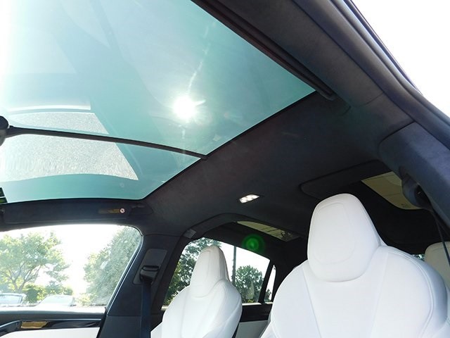 Tesla Model X Vehicle Image 17