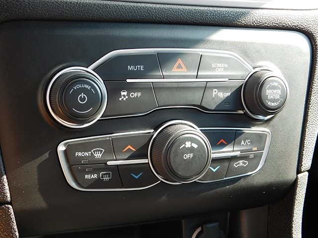 Dodge Charger Vehicle Image 18