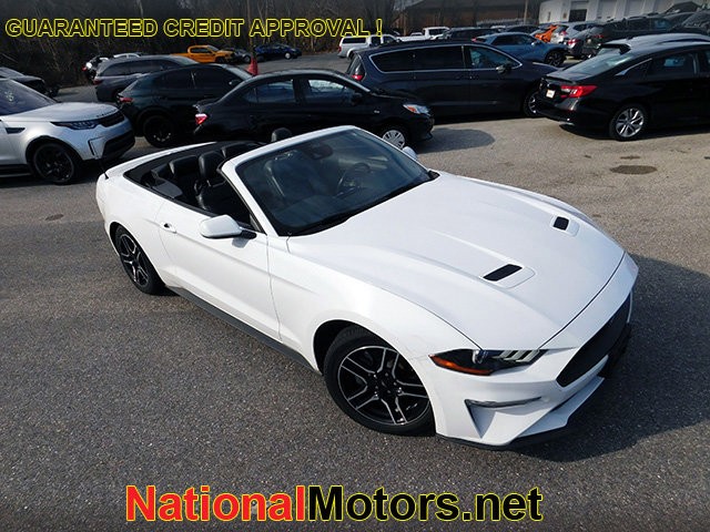 Ford Mustang Vehicle Image 02