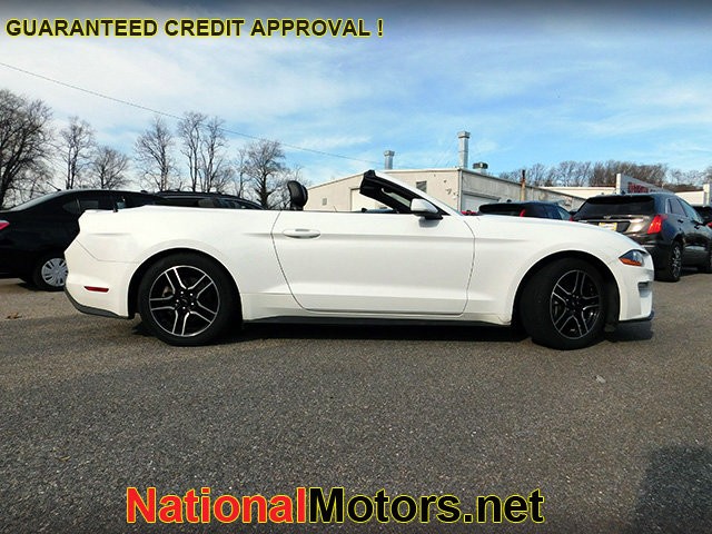 Ford Mustang Vehicle Image 04