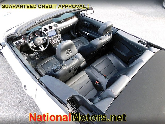 Ford Mustang Vehicle Image 06