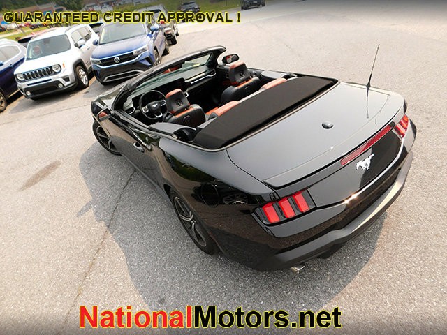Ford Mustang Vehicle Image 06