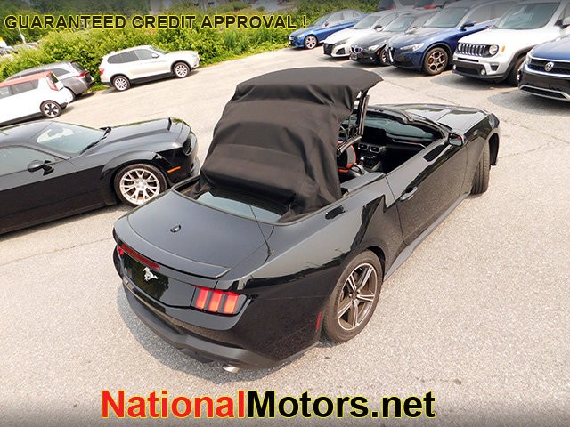 Ford Mustang Vehicle Image 12