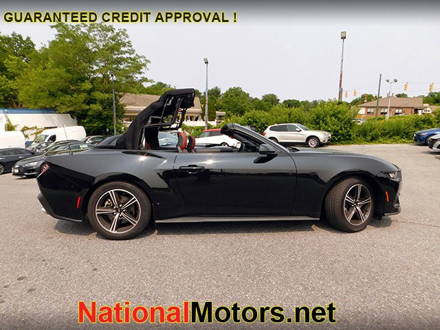 Ford Mustang Vehicle Image 13