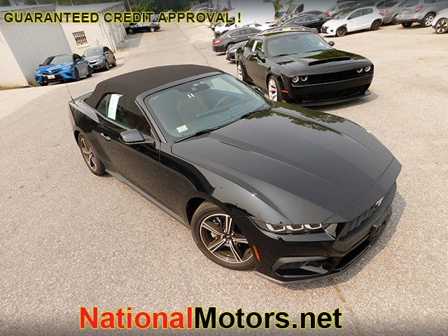 Ford Mustang Vehicle Image 14