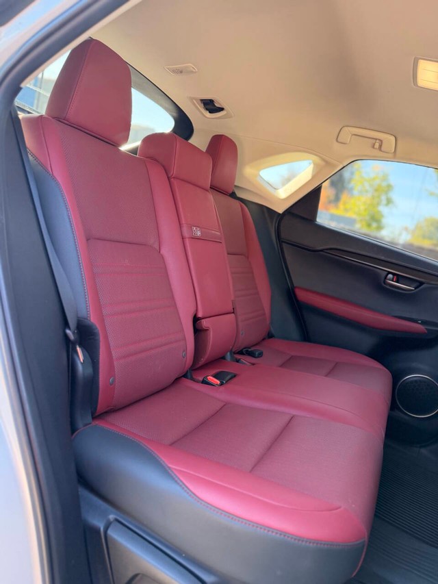 Lexus NX Vehicle Full-screen Gallery Image 14