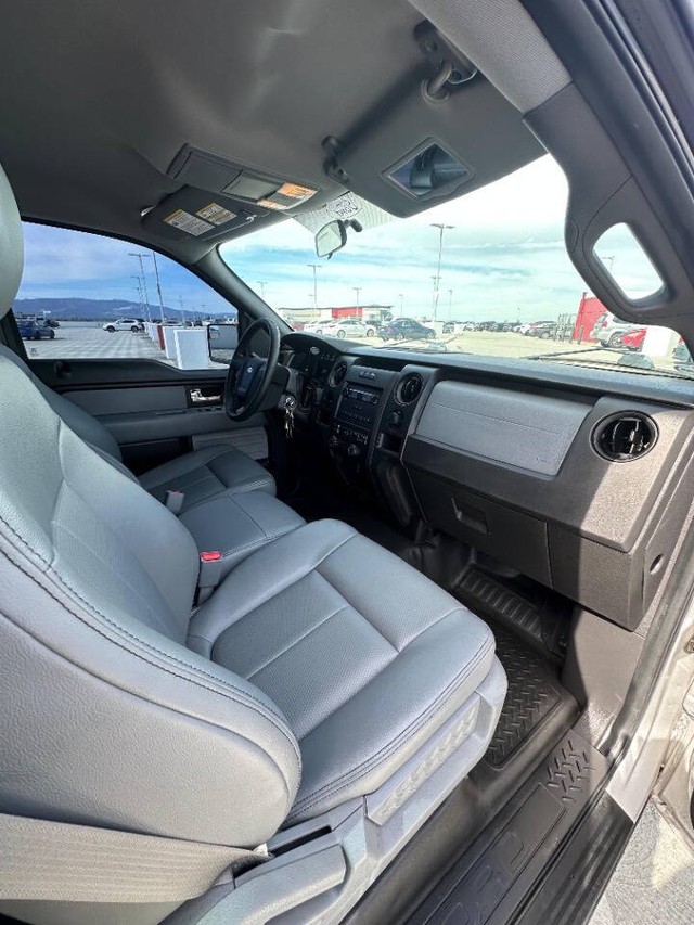 Ford F-150 Vehicle Full-screen Gallery Image 15