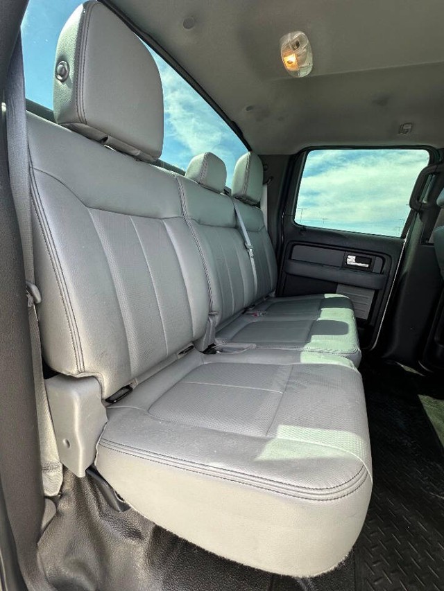 Ford F-150 Vehicle Full-screen Gallery Image 17