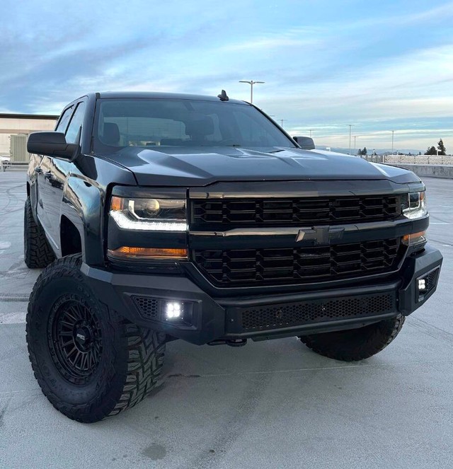 Chevrolet Silverado 1500 Vehicle Full-screen Gallery Image 03