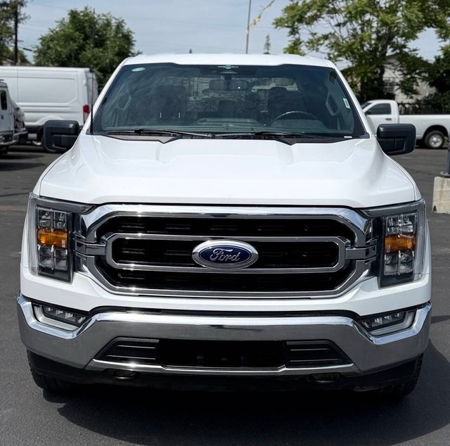 Ford F-150 Vehicle Full-screen Gallery Image 03