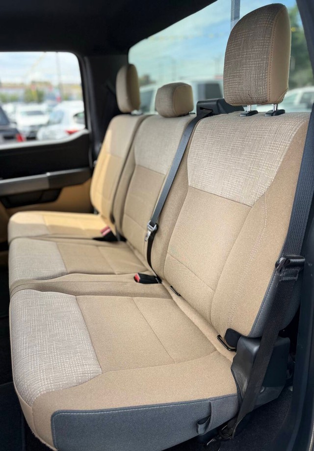 Ford F-150 Vehicle Full-screen Gallery Image 14