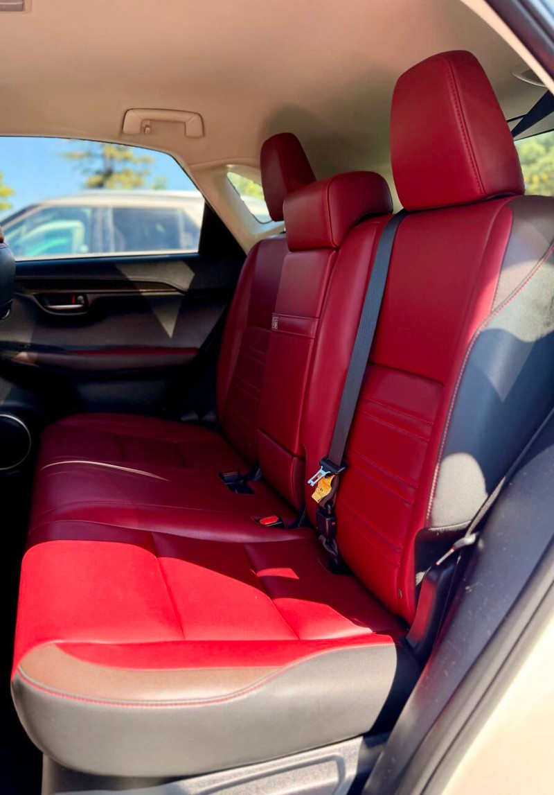 Lexus NX Vehicle Full-screen Gallery Image 14
