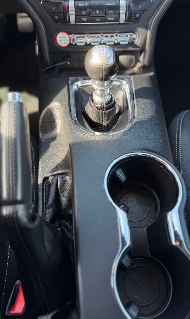 Ford Mustang Vehicle Full-screen Gallery Image 12