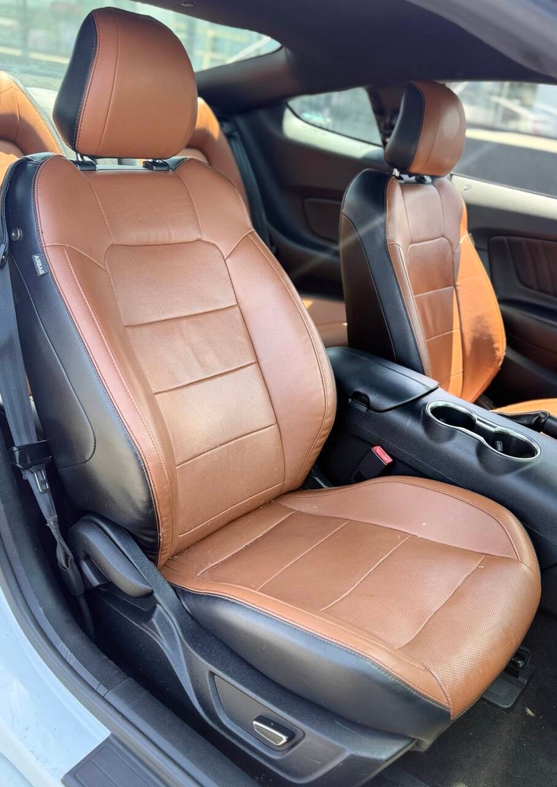 Ford Mustang Vehicle Full-screen Gallery Image 13