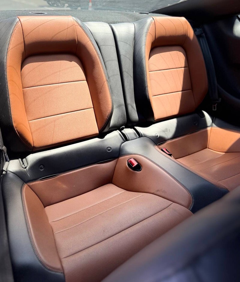 Ford Mustang Vehicle Full-screen Gallery Image 14