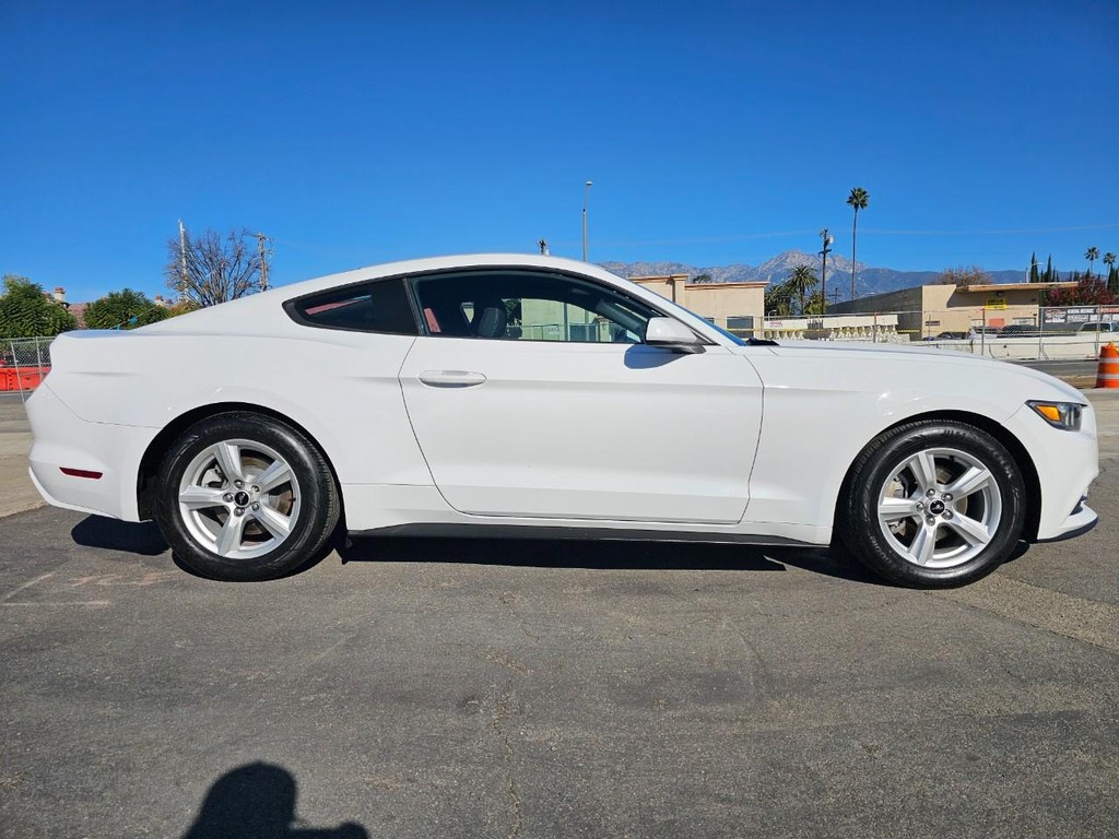 Ford Mustang Vehicle Full-screen Gallery Image 6