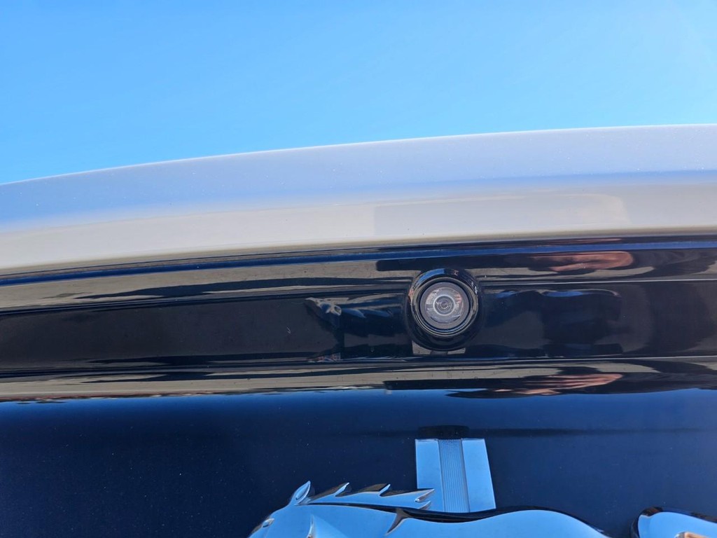 Ford Mustang Vehicle Full-screen Gallery Image 13