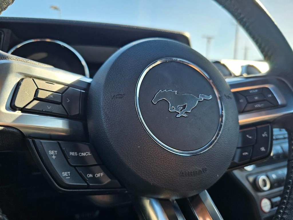 Ford Mustang Vehicle Full-screen Gallery Image 19