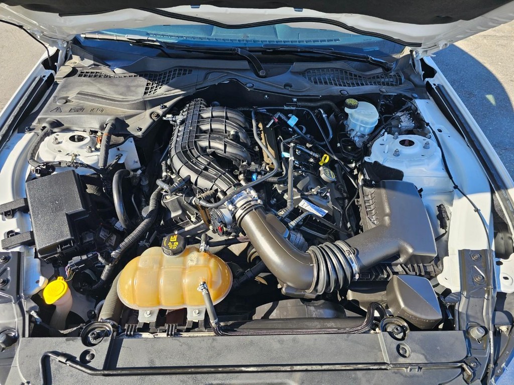 Ford Mustang Vehicle Full-screen Gallery Image 33