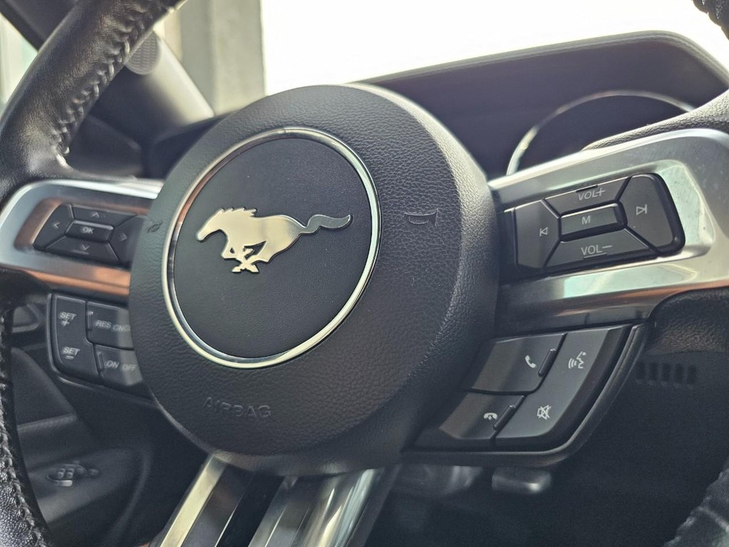 Ford Mustang Vehicle Full-screen Gallery Image 22