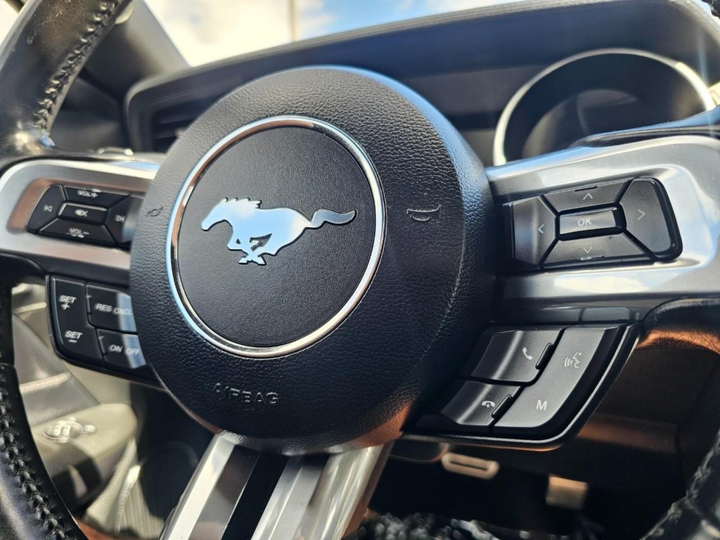 Ford Mustang Vehicle Full-screen Gallery Image 20