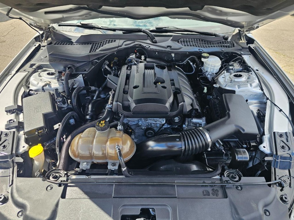 Ford Mustang Vehicle Full-screen Gallery Image 33