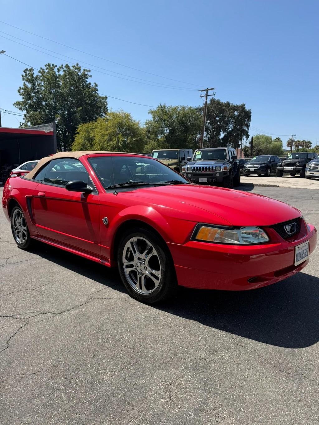 Ford Mustang Vehicle Full-screen Gallery Image 11