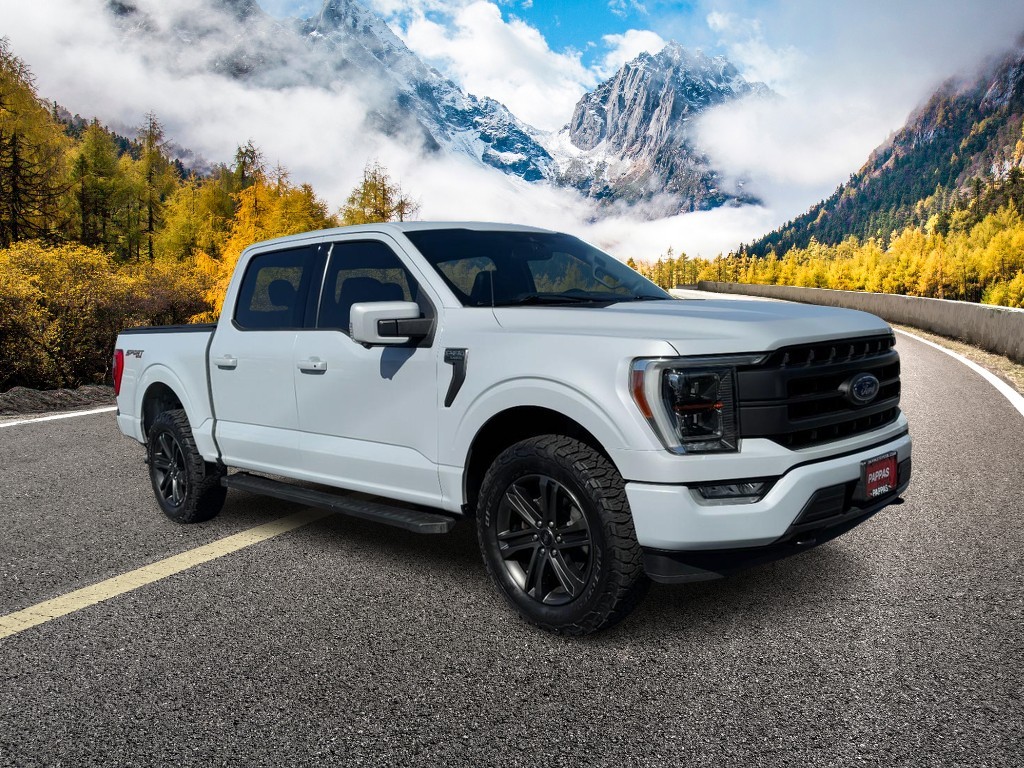 Ford F-150 Vehicle Full-screen Gallery Image 01