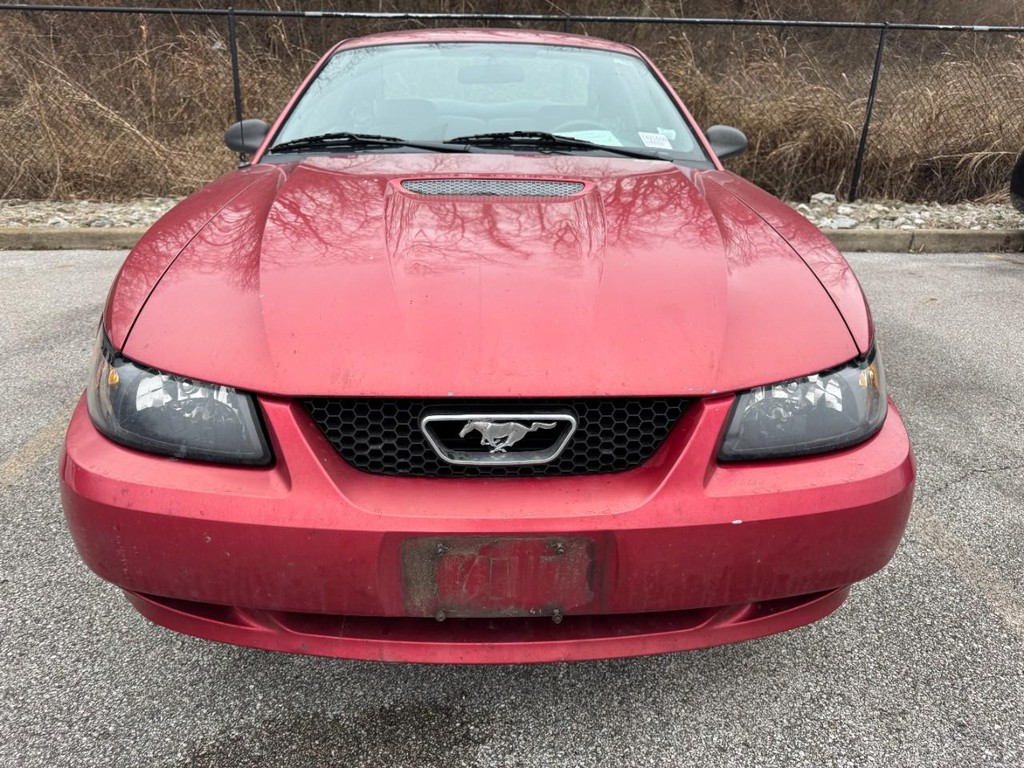 Ford Mustang Vehicle Full-screen Gallery Image 08