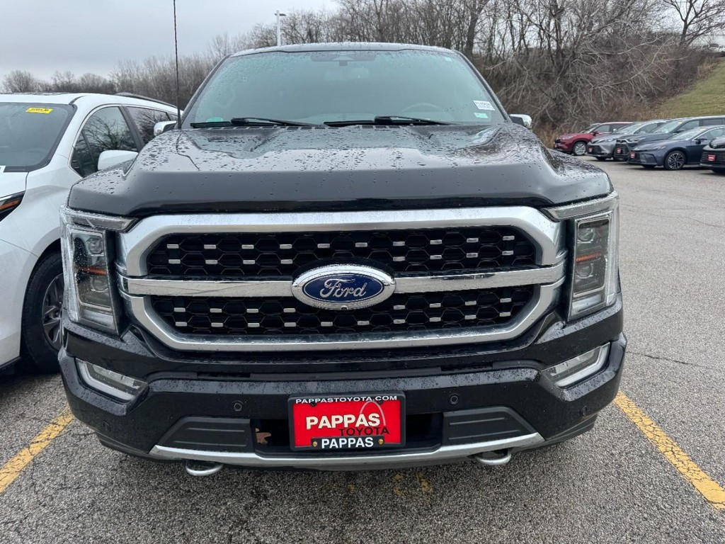 Ford F-150 Vehicle Full-screen Gallery Image 02