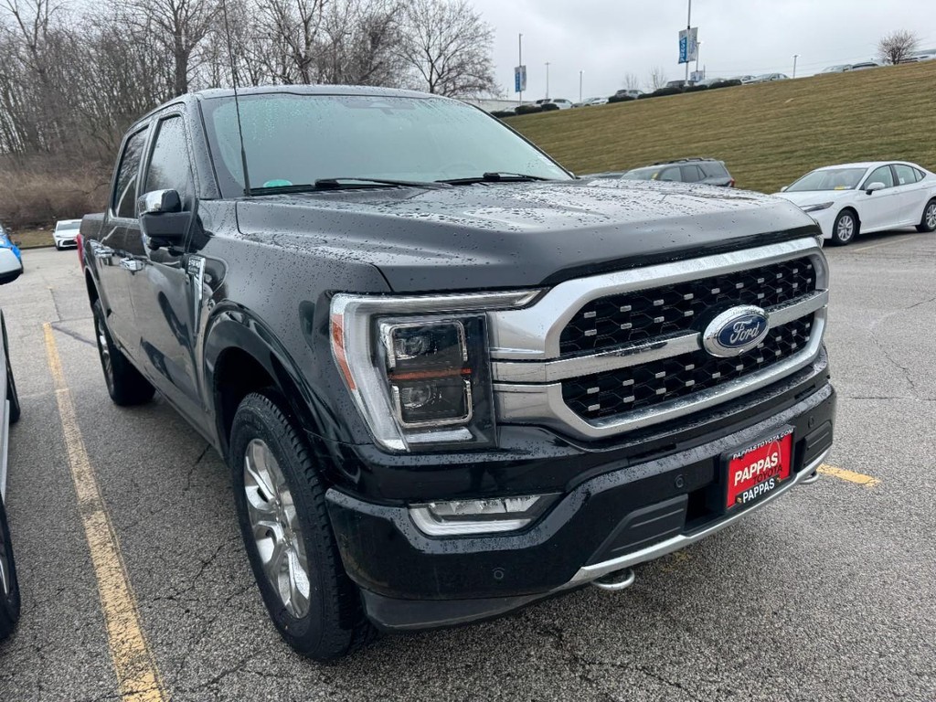 Ford F-150 Vehicle Full-screen Gallery Image 03