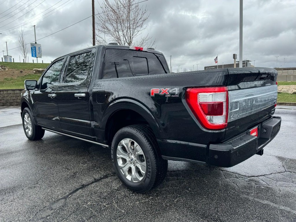 Ford F-150 Vehicle Full-screen Gallery Image 05