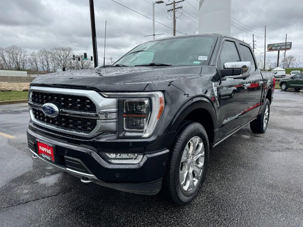 Ford F-150 Vehicle Full-screen Gallery Image 08