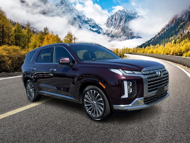more details - hyundai palisade