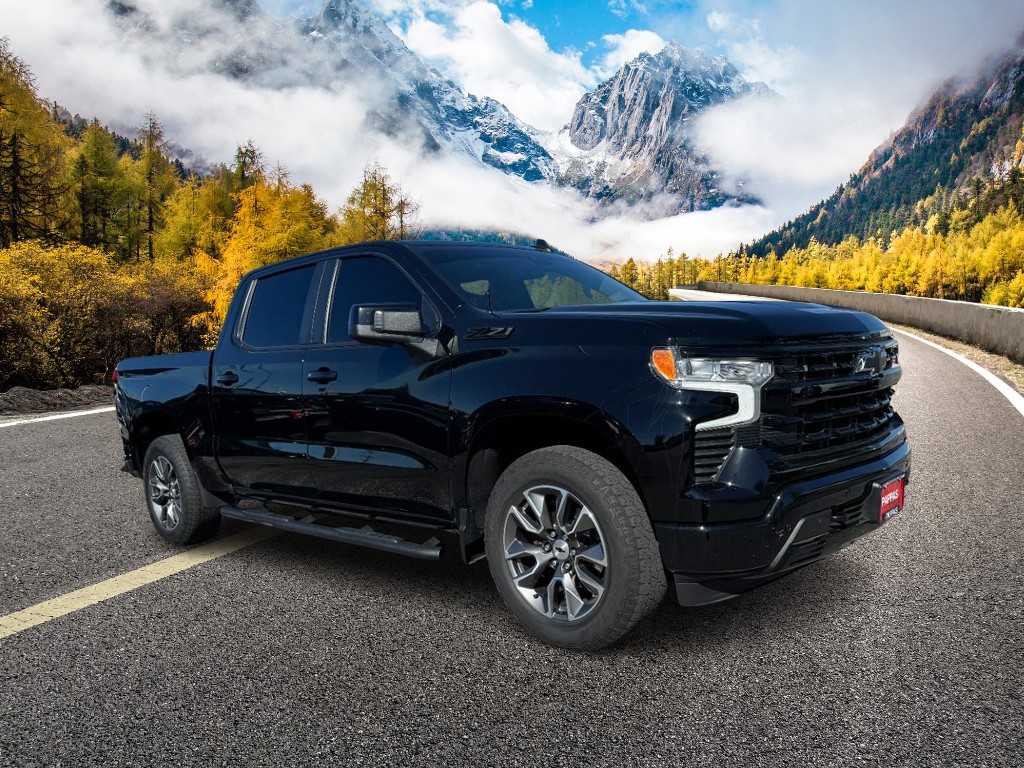 Chevrolet Silverado 1500 Vehicle Full-screen Gallery Image 01