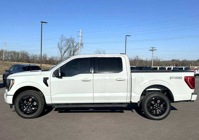 Ford F-150 Vehicle Full-screen Gallery Image 05