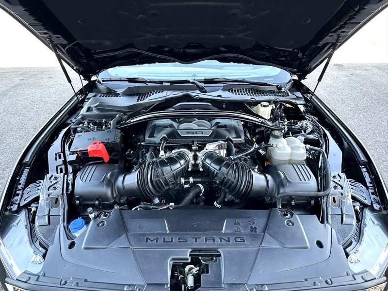 Ford Mustang Vehicle Full-screen Gallery Image 15