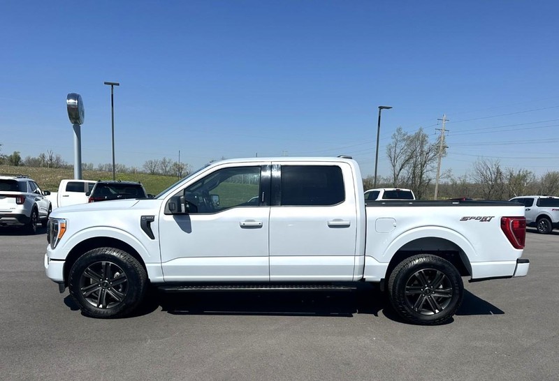 Ford F-150 Vehicle Full-screen Gallery Image 05