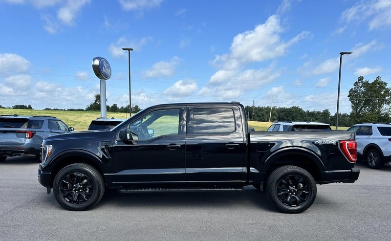 Ford F-150 Vehicle Full-screen Gallery Image 05