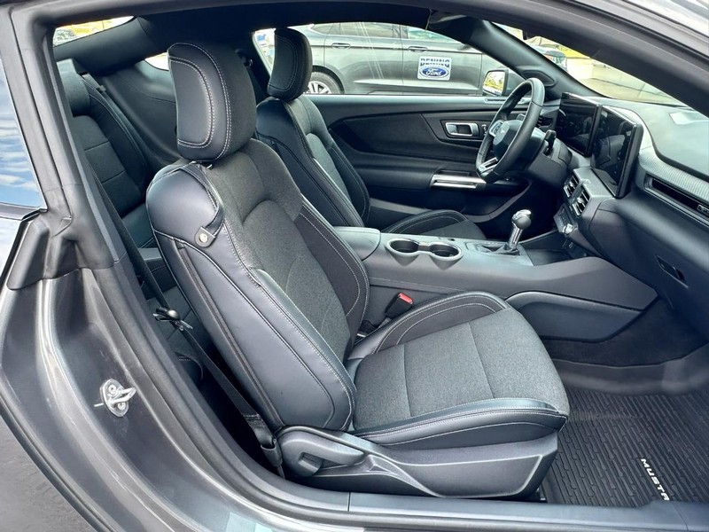 Ford Mustang Vehicle Full-screen Gallery Image 14