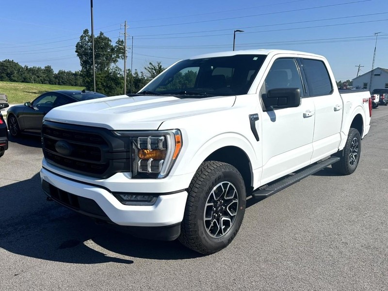 Ford F-150 Vehicle Full-screen Gallery Image 04