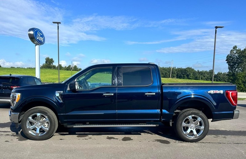 Ford F-150 Vehicle Full-screen Gallery Image 06