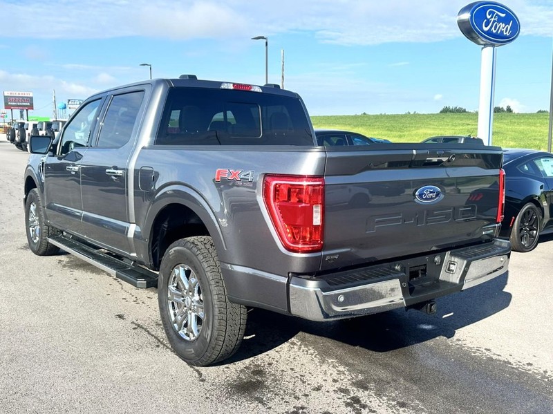 Ford F-150 Vehicle Full-screen Gallery Image 06