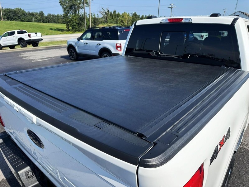 Ford F-150 Vehicle Full-screen Gallery Image 04
