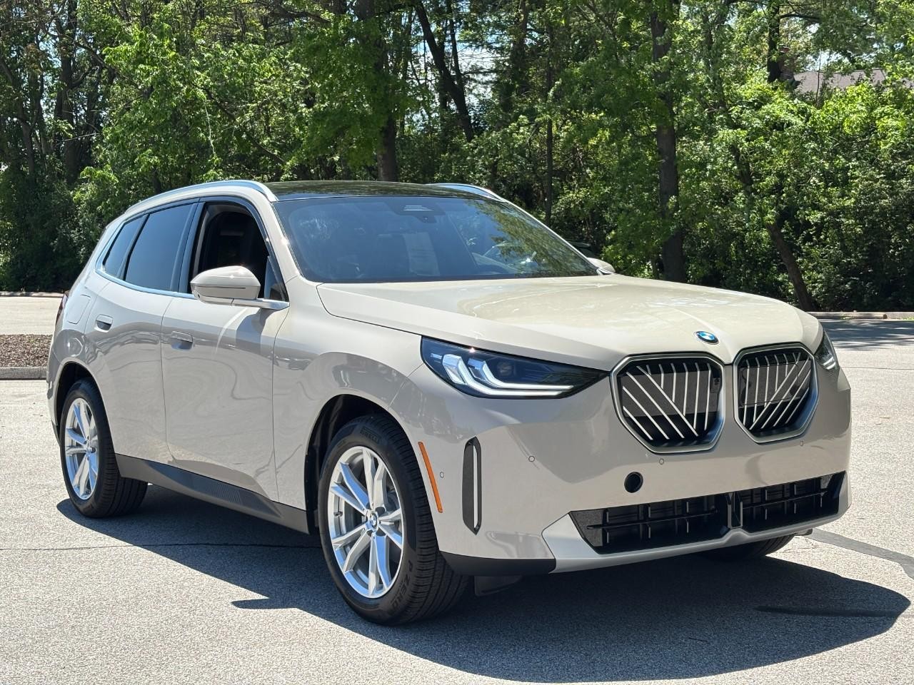 BMW X3 Vehicle Full-screen Gallery Image 6