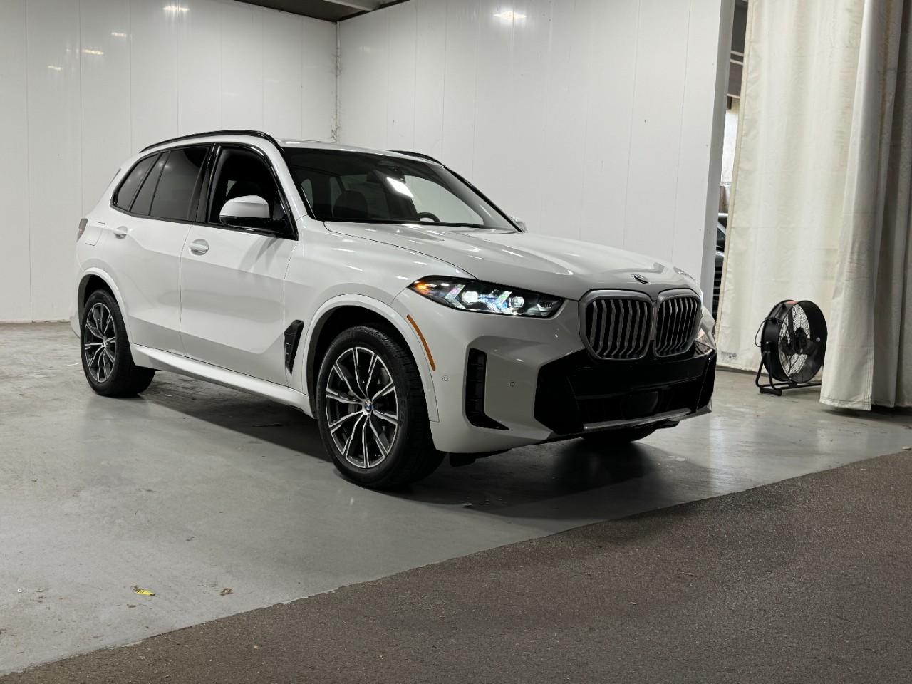 BMW X5 Vehicle Full-screen Gallery Image 6