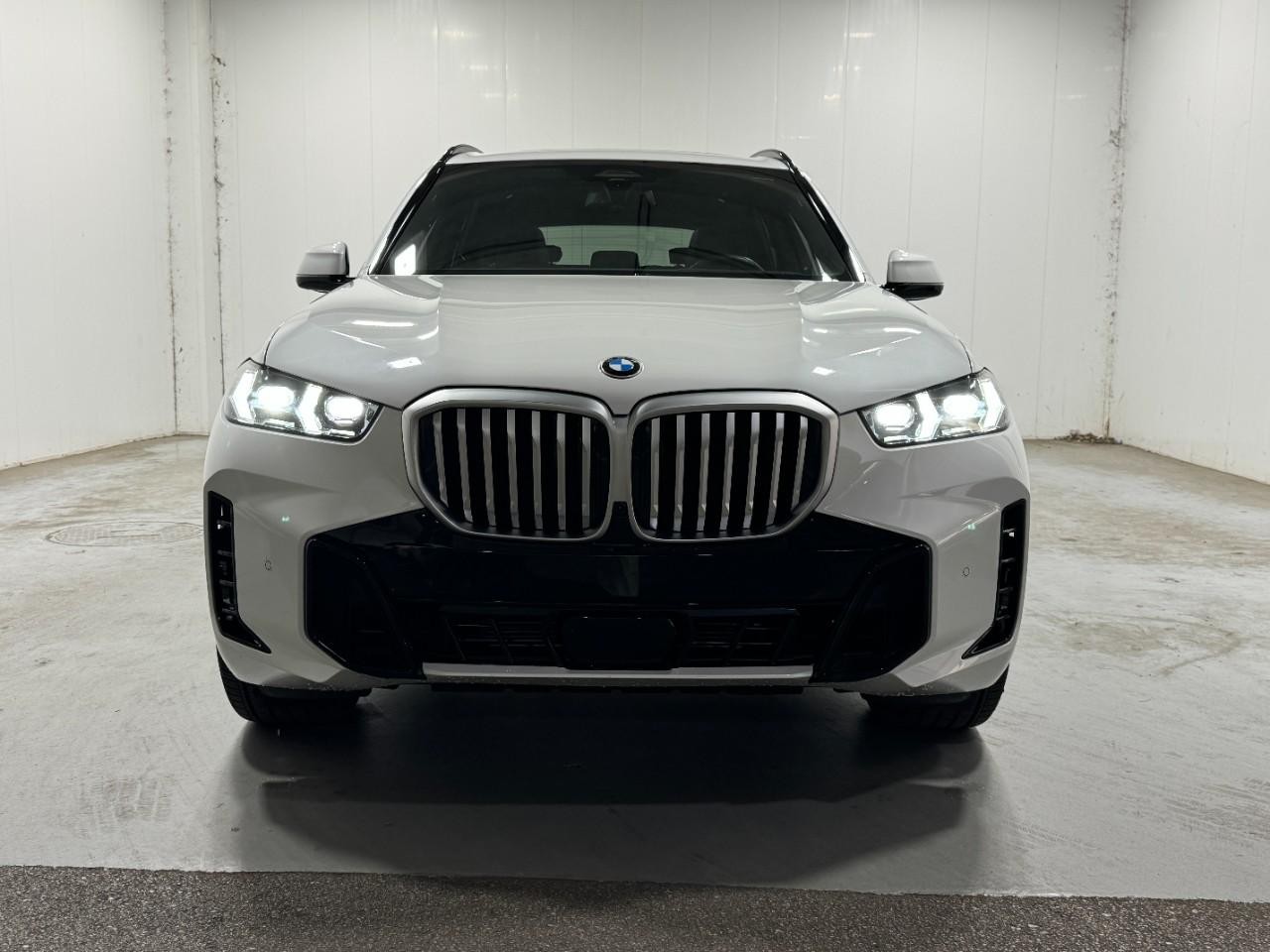 BMW X5 Vehicle Full-screen Gallery Image 7