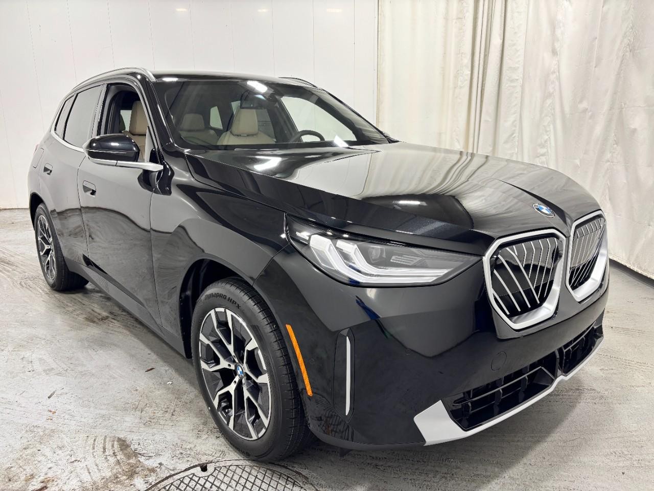 BMW X3 Vehicle Full-screen Gallery Image 6