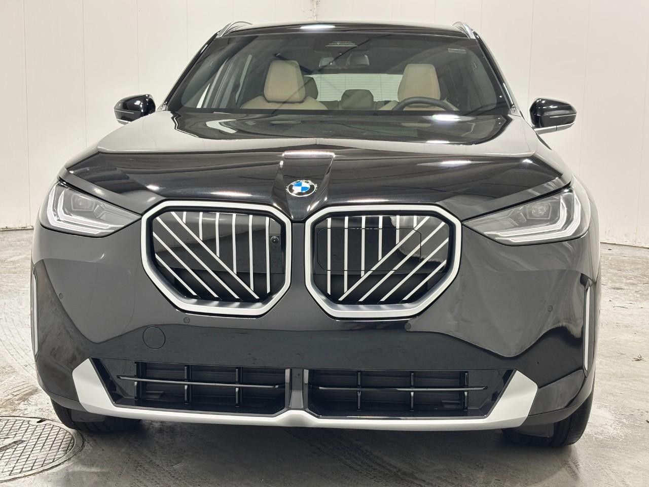 BMW X3 Vehicle Full-screen Gallery Image 7